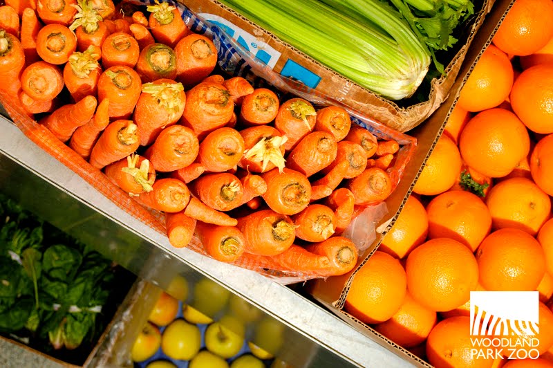 Animal diets by the number