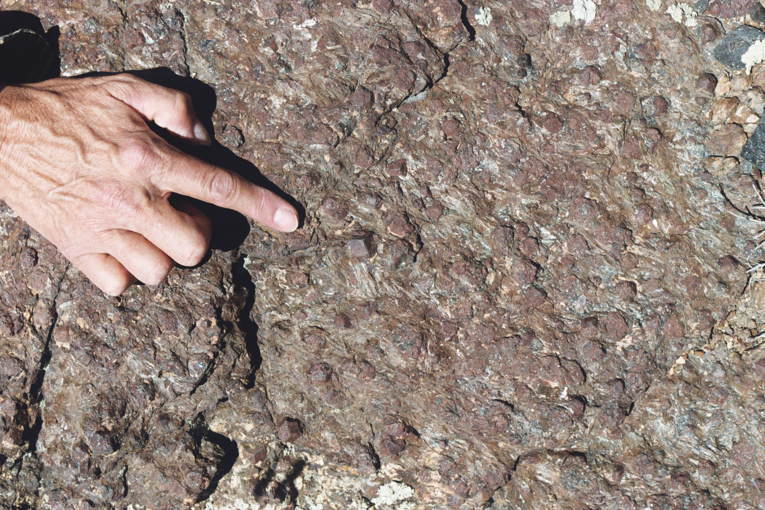 Gem Garnet - A Rockhound Gem Garnet - A Rockhound