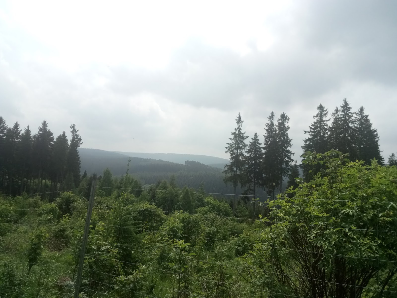 Laufspatz Der Laufblog Laufen Im Erzgebirge 2 Lander 1