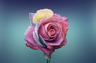 Sweet Images for WhatsApp Profile Sweet Images for WhatsApp Profile