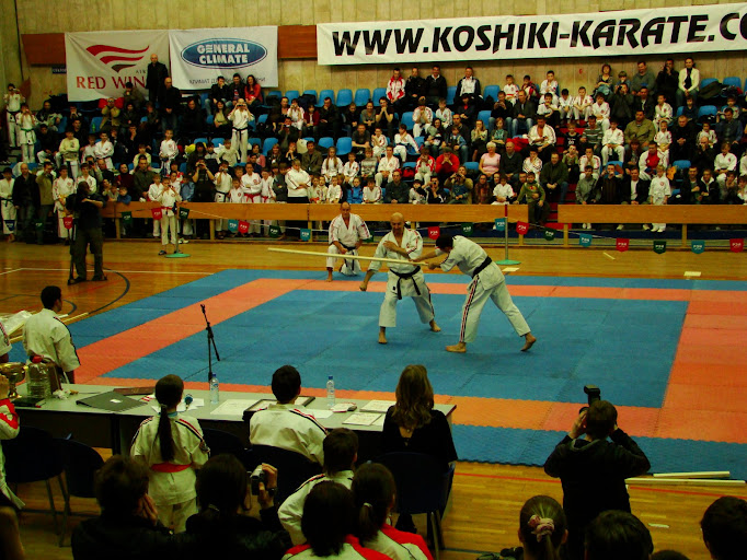 Чемпионат России по карате 2010