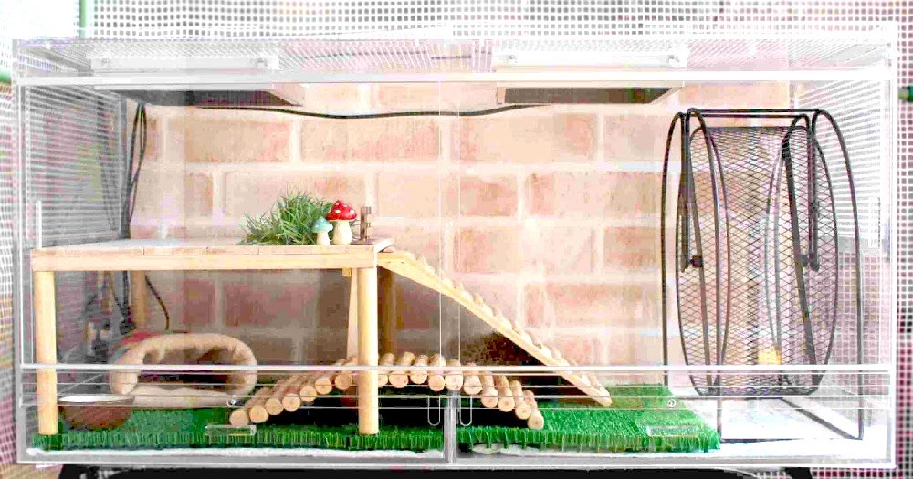 ハリネズミ ケージ 二階建て ライト付き ハリネズミ ケージ 二階建て ライト付き ハリネズミ ケージ 二階建て