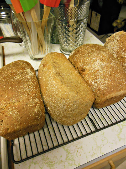 Ezekial Bread, whole grain bread. Ezekial Bread, an ancient idea for complete protein.
