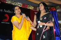 Three Audio Launch Gallery [Andhrula Music]