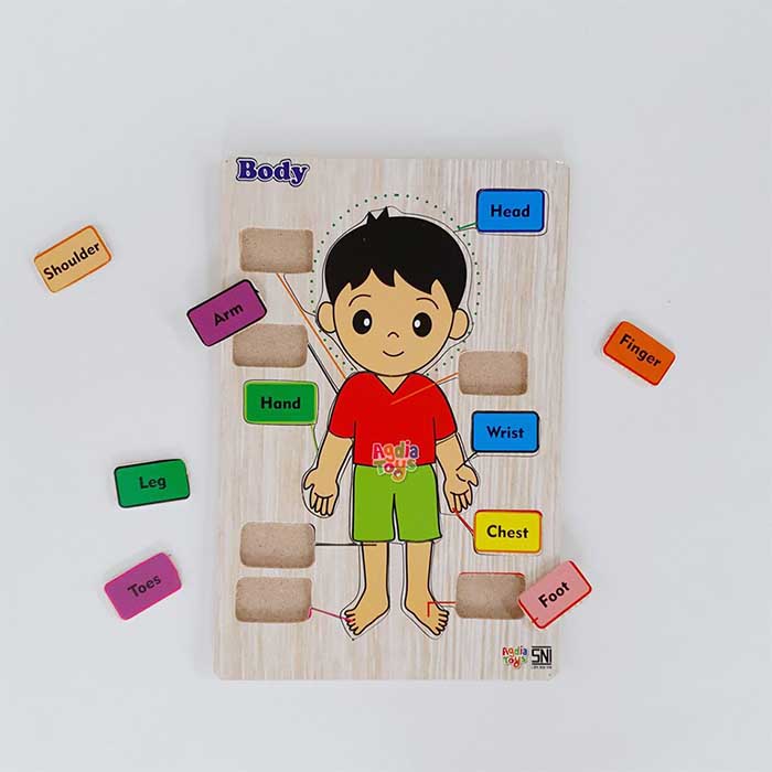 Puzzle Anggota Tubuh Putra Inggris - SEBUTIK EDUTOYS
