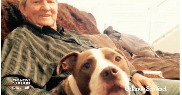 Emotional Support Animals Traveling From Usa To Netherlands Emotional Support Animals Traveling From Usa To Netherlands