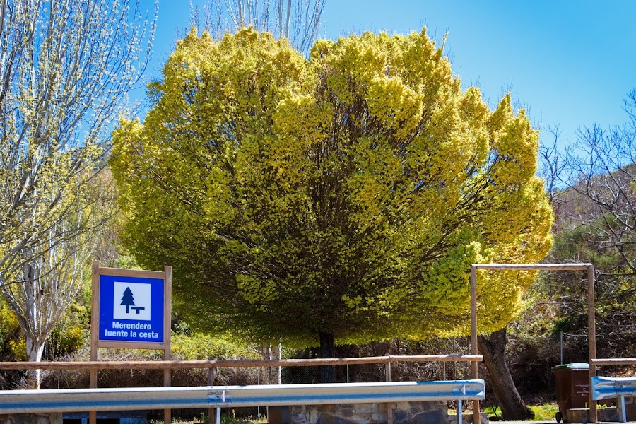 Real Monasterio de Santa María de Guadalupe