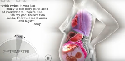 Изменения женского тела во время беременности показали на видео