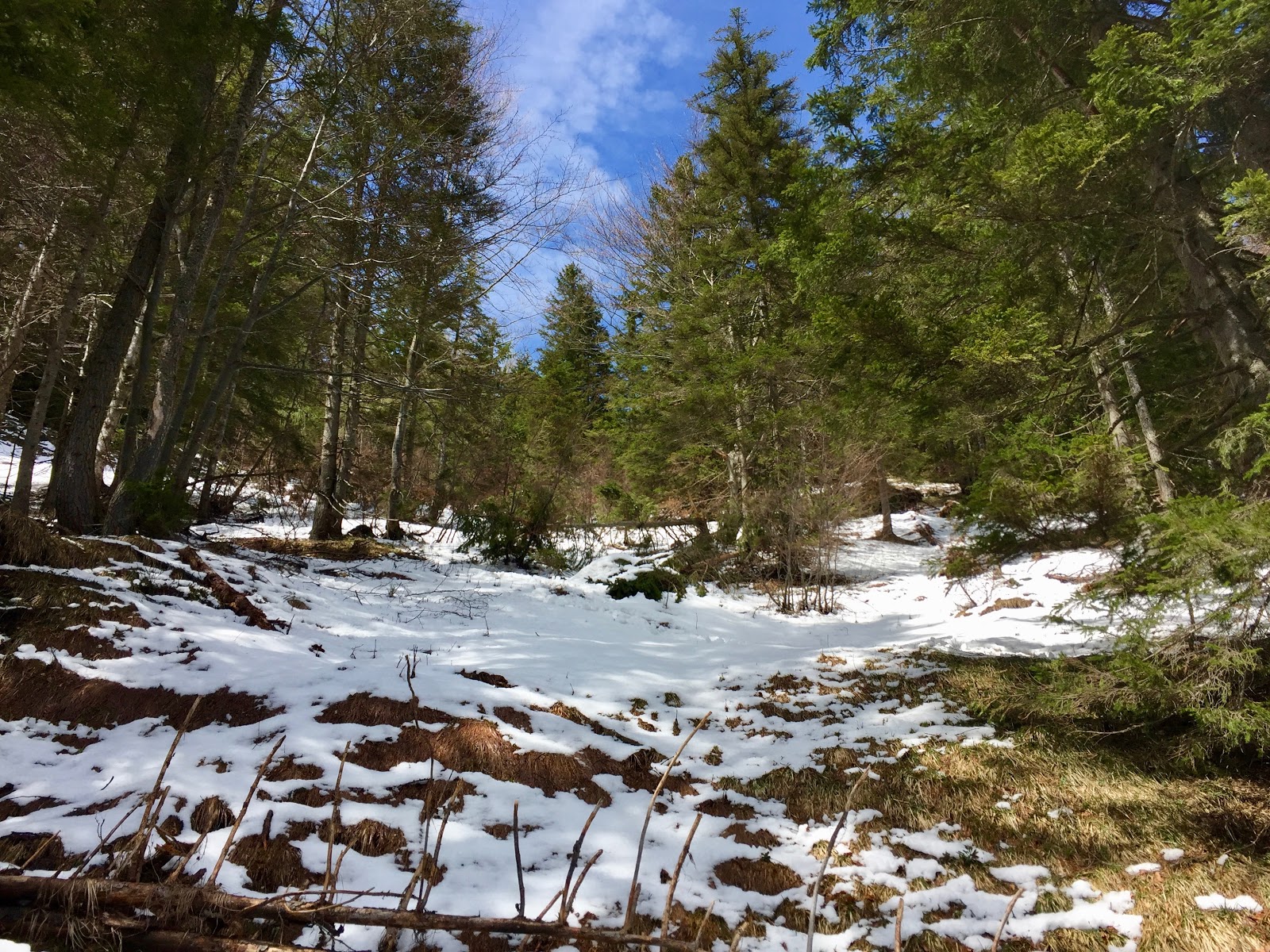 Familienwanderung In Ruhpolding Marchenwald Und Freizeitpark