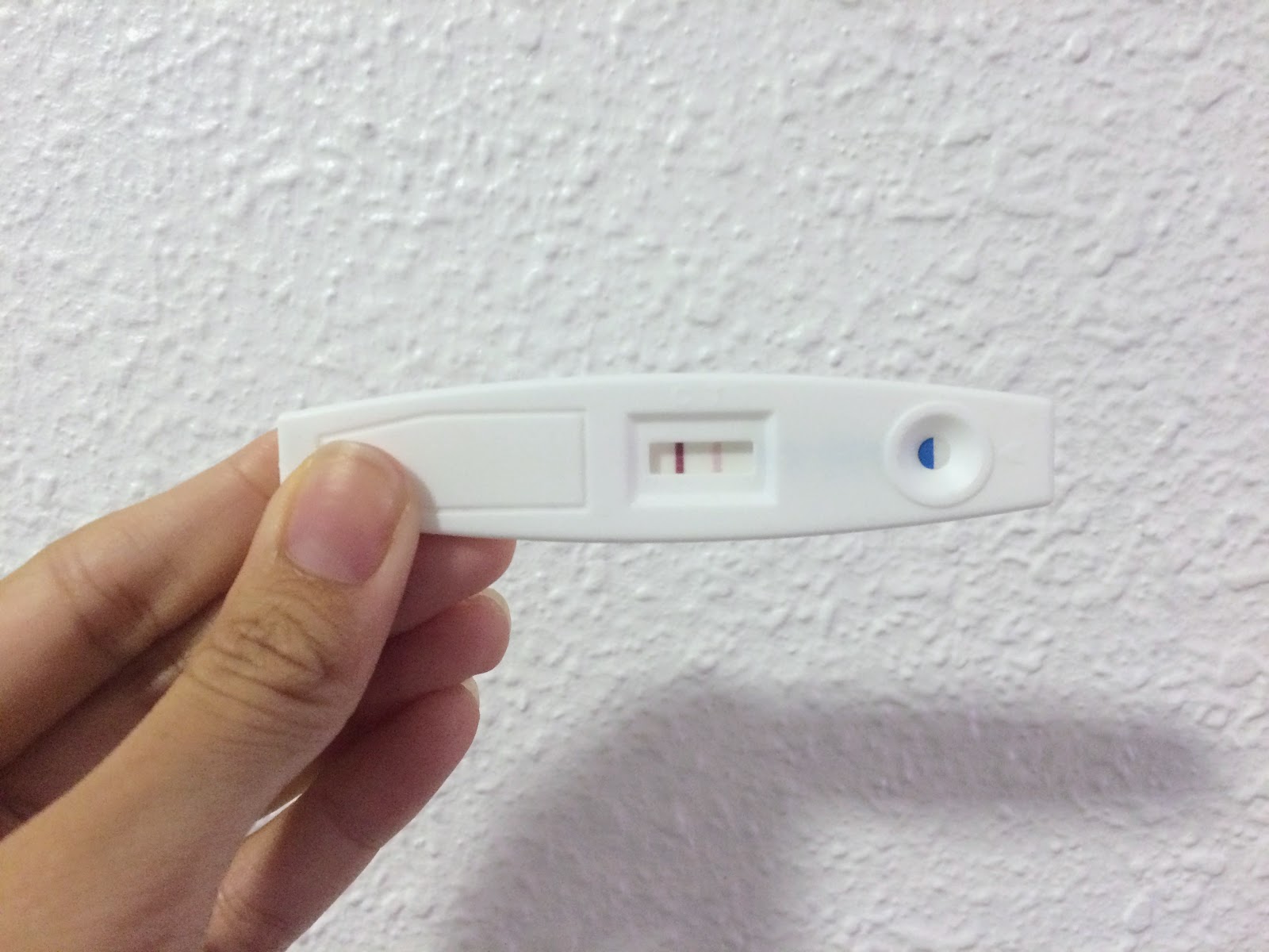 Through My Eyes Pregnancy Update 2 4 Types of Pregnancy Test Kits.