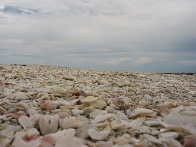 199697427 172188079c o