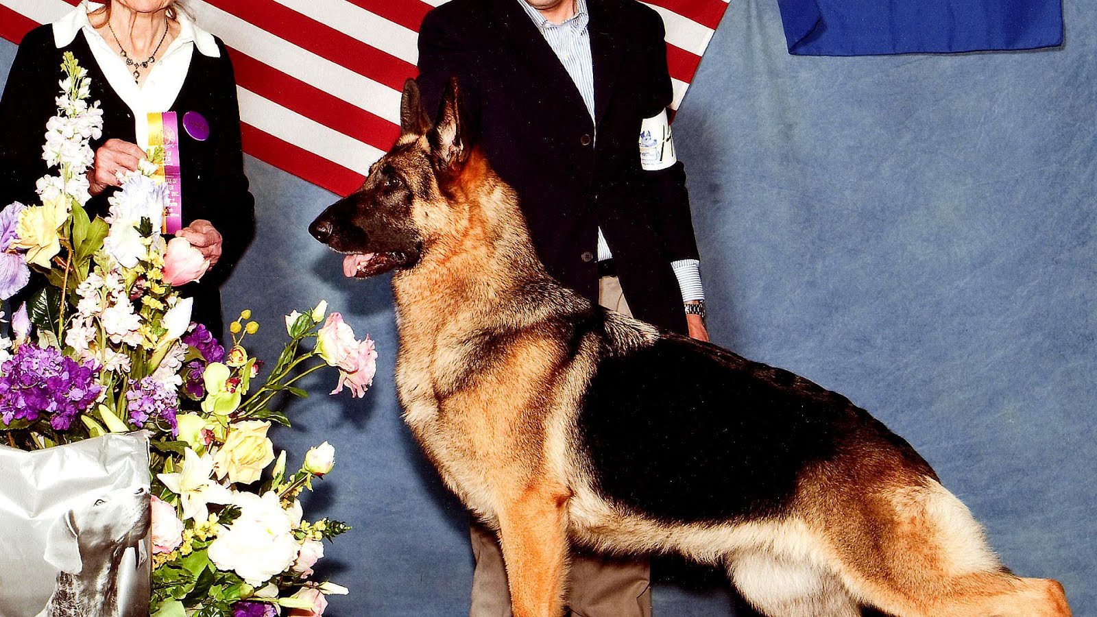 German Shepherd Dog Club Of America German Choices