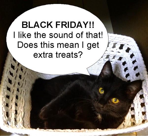 365 Cat Ladies and Friends 11/01/2013 12/01/2013