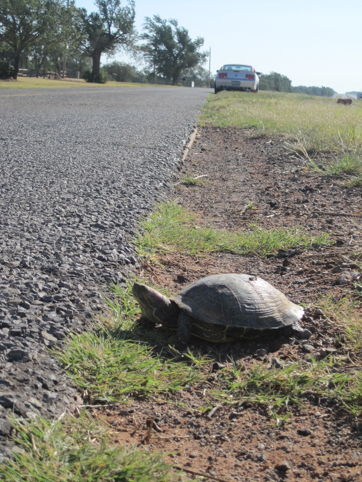 Los Angeles to Chicago Day 8 Sayre (OK) to Tulsa (OK) 25th June