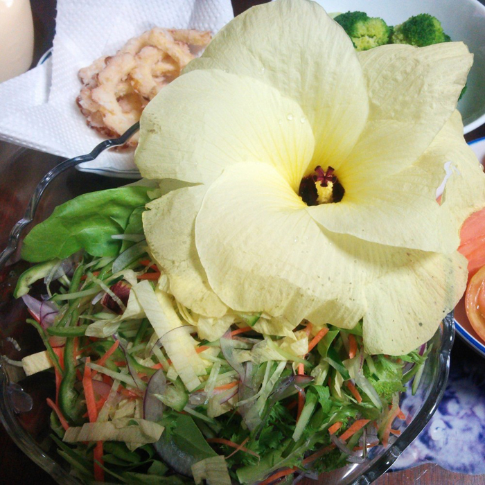 花と野菜 保存版 オクラの花 一日花 食べられるレシピがいっぱい