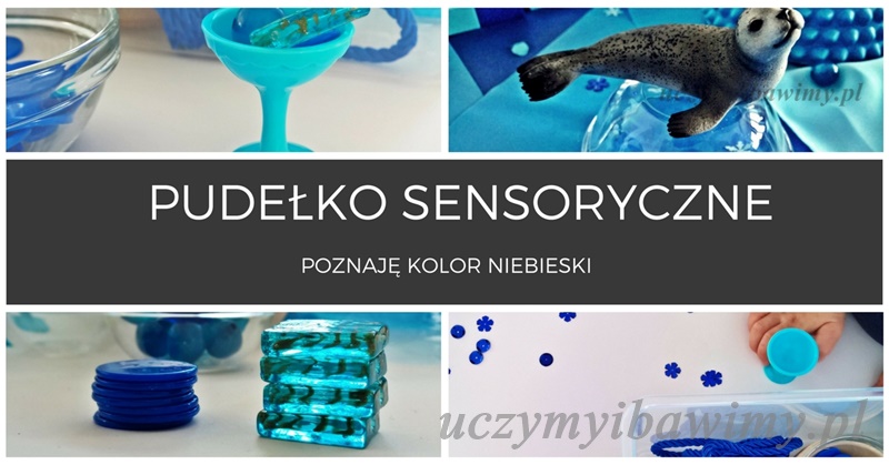 Pudełko sensoryczne - poznaję niebieski kolor Pudełko sensoryczne - poznaję niebieski kolor
