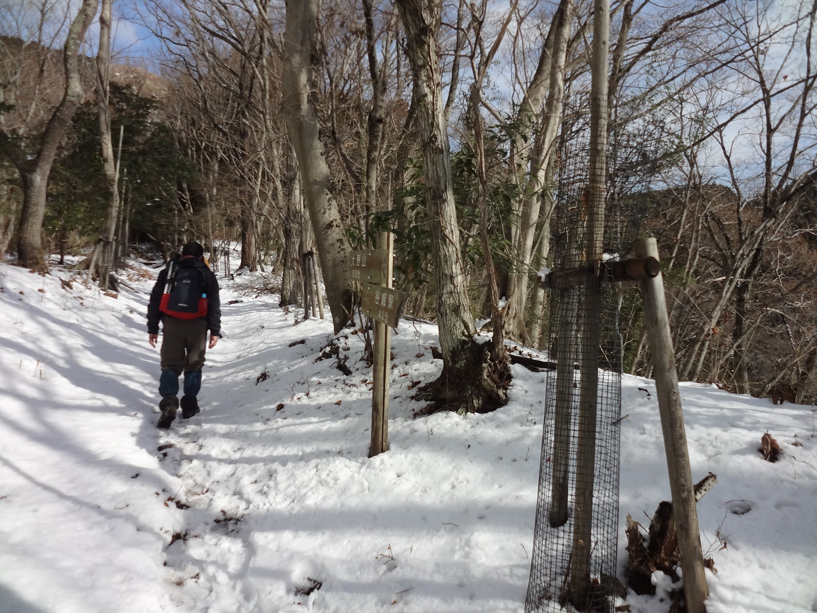 Adventure In Yokohama Citizen Forest Visiting The Republic Of Tibet In Kanagawa Prefecture Hiking In Mt Oonoyama 大野山