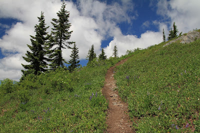 Goat Mountain Trail in the Open