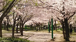 八幡屋公園