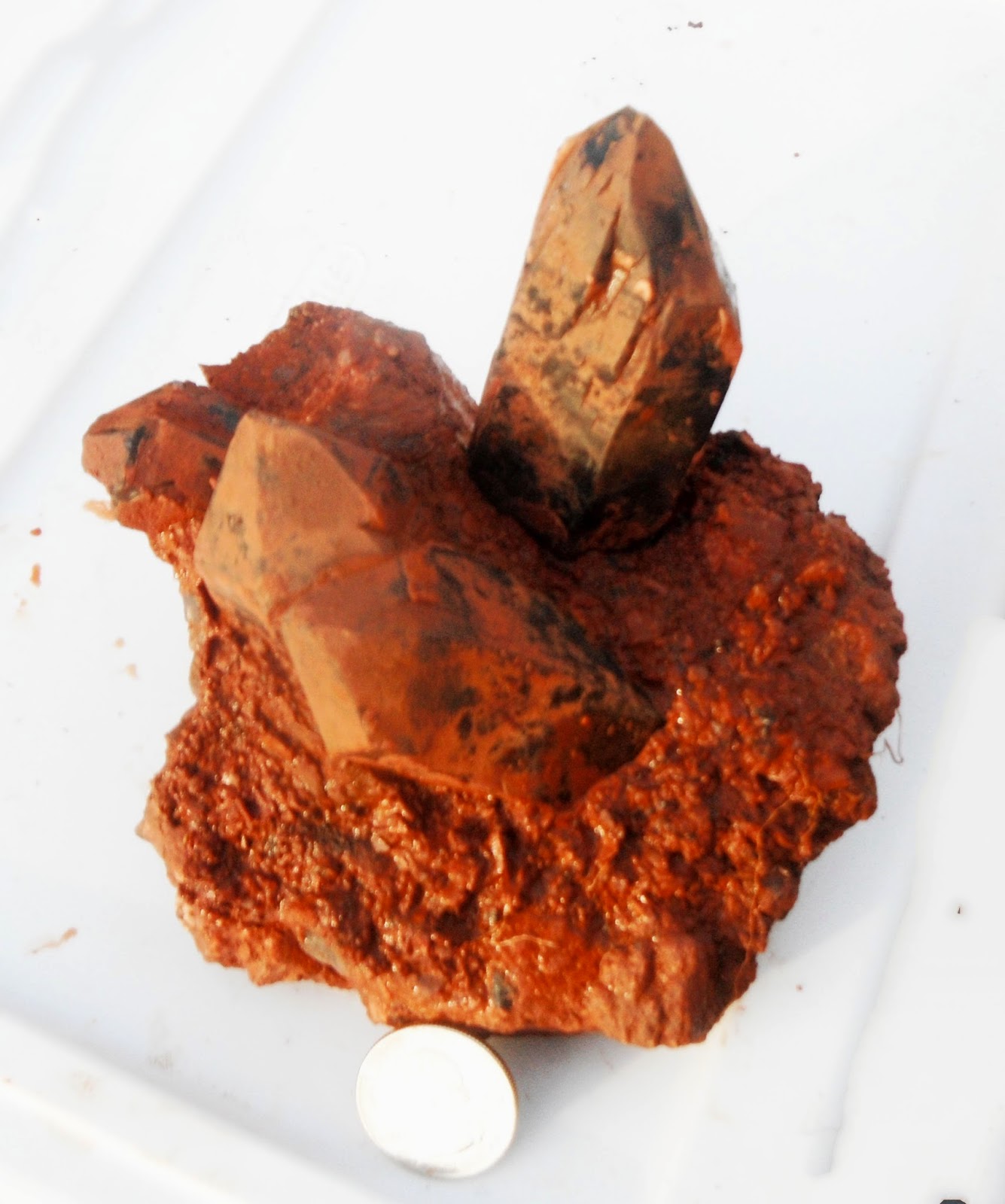 Rockhounding the Rockies: 300+ Smoky Quartz Crystals in 1 day at