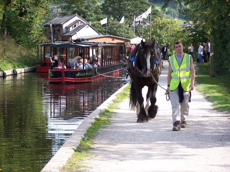 Liberty's Torch The Canal Horse In The White House