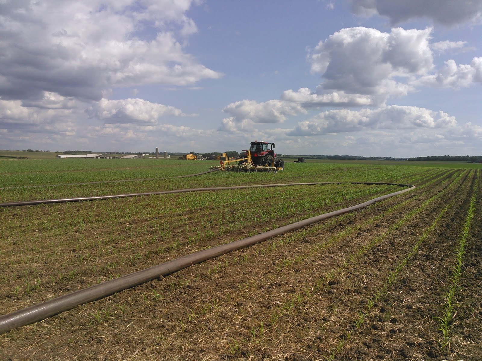 The Manure Scoop Manure Sidedressing