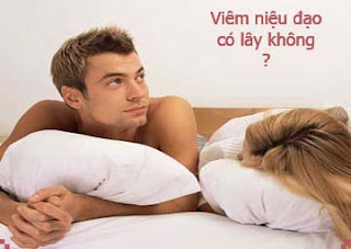 Viêm niệu đạo có lây không