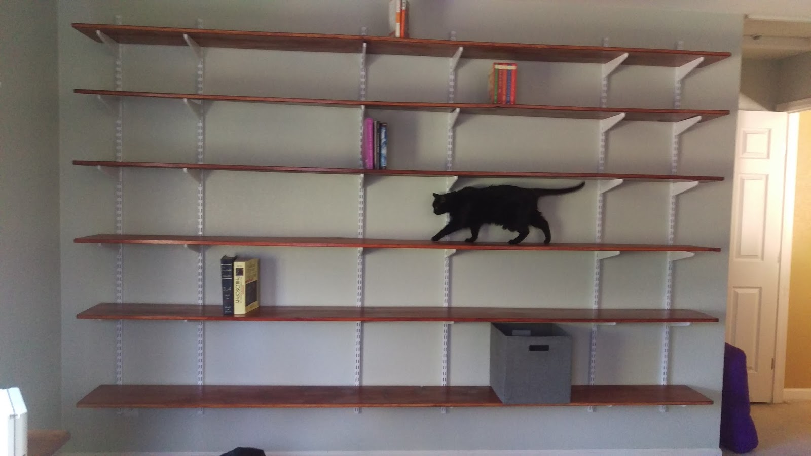 Better Design; Better Life: The Do’s and Don’ts of Hoarding Books