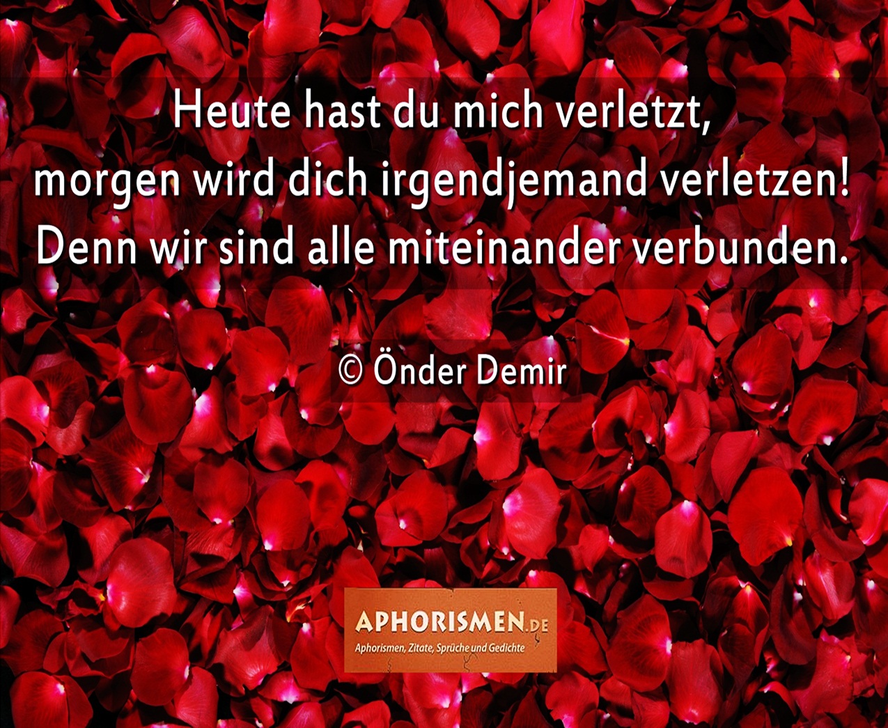 Demokratisch Links 2012