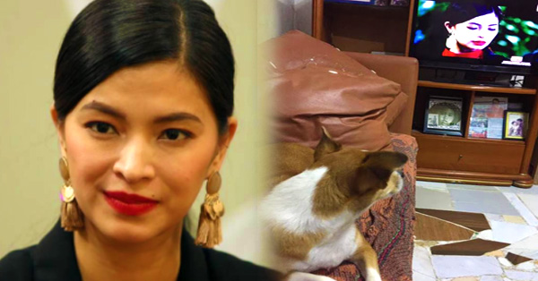 VIRAL: A Pet Dog Can't Stop Watching Jacintha Magsaysay In La Luna Sangre! VIRAL: A Pet Dog Can't Stop Watching Jacintha Magsaysay In La Luna Sangre!