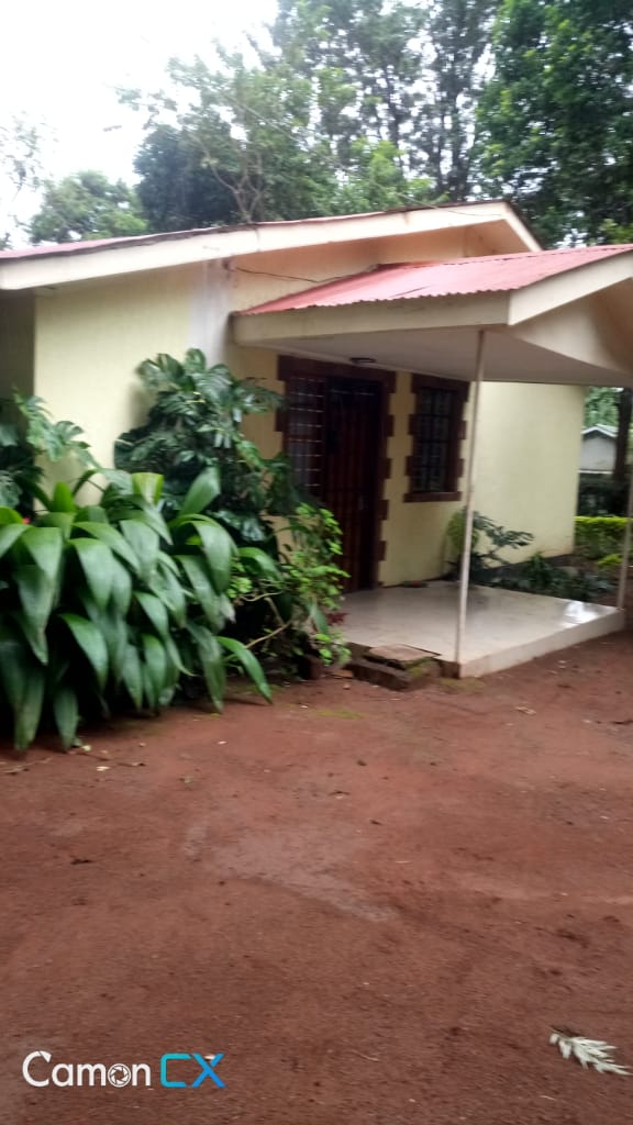 Rent house in Tanzania Arusha rent homes, Houses for sale,vacation