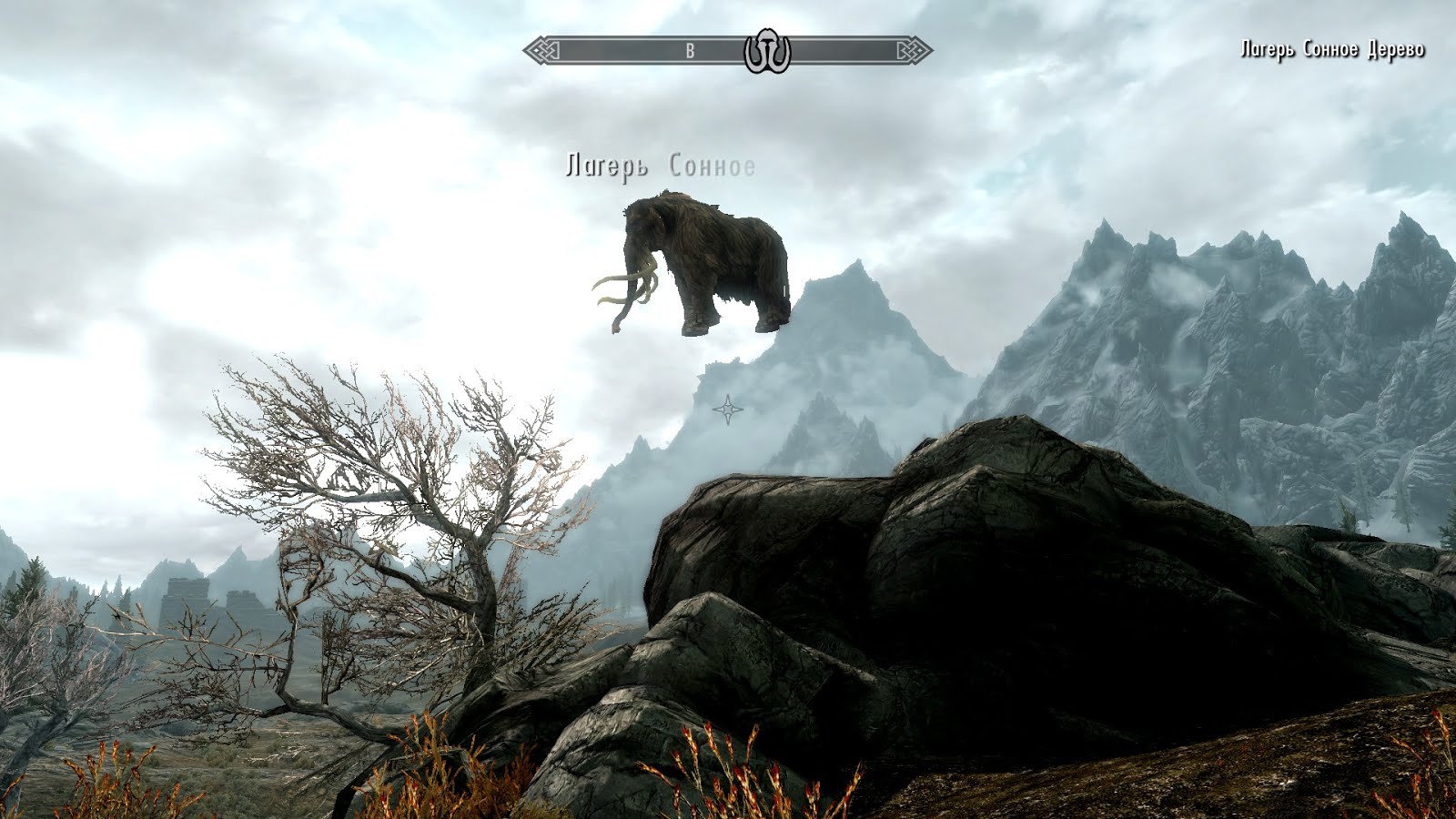 Skyrim