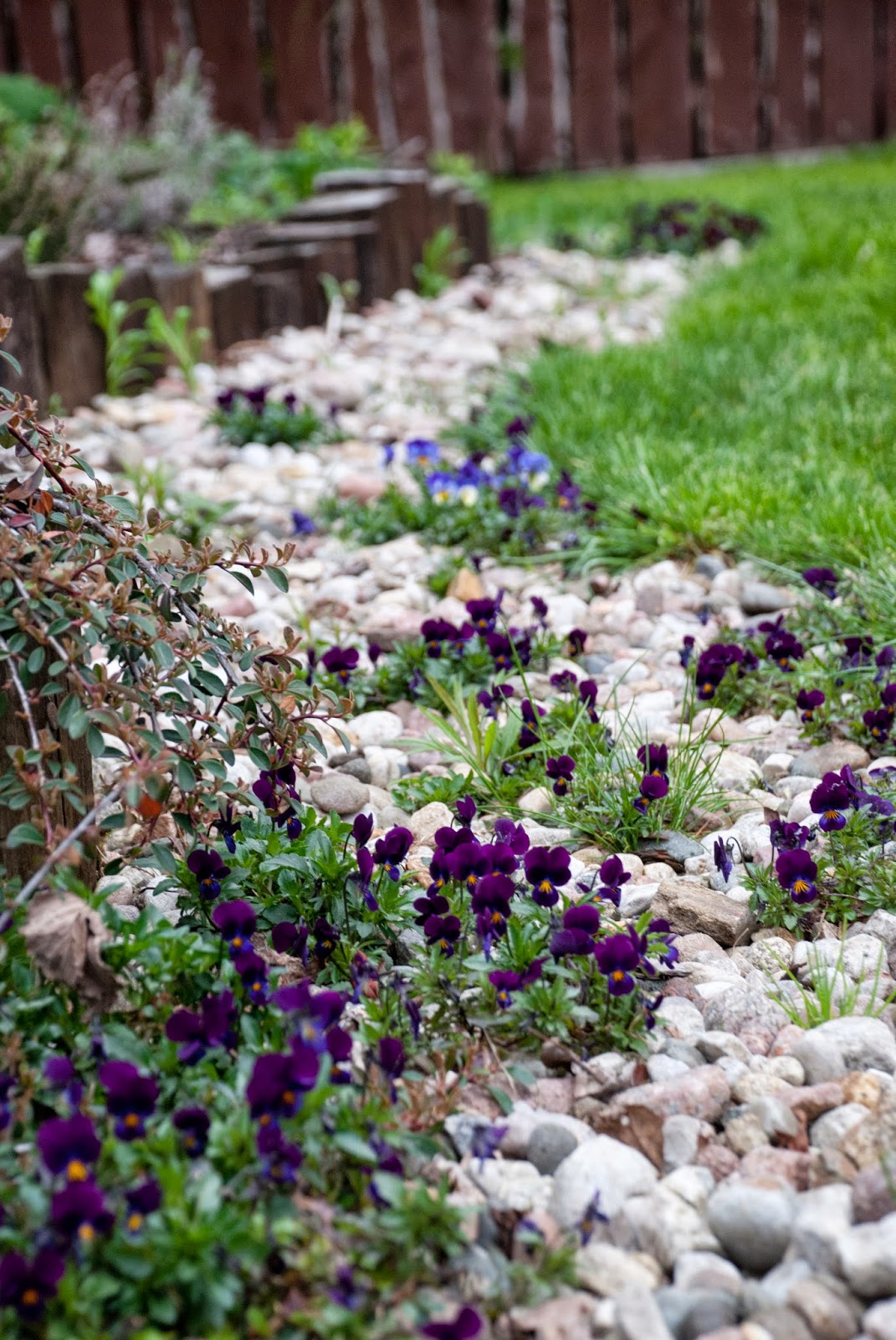 Летние картинки