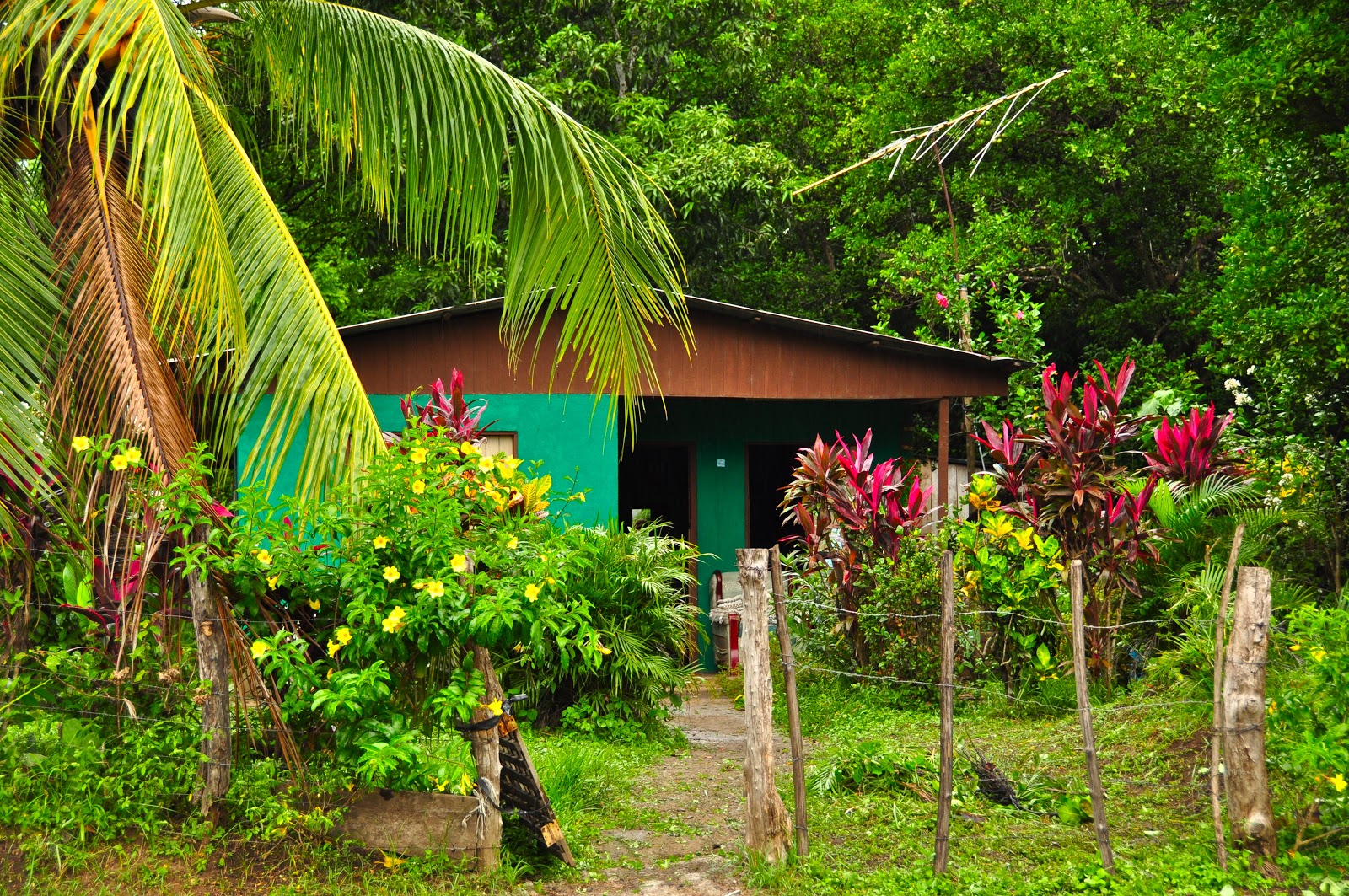 Tamarindo, Costa Rica Daily Photo Tico House