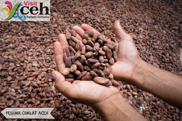 Menjajal Pesona Cokelat Aceh Yang Menjadi Produk Masa Depan Rakyat Aceh