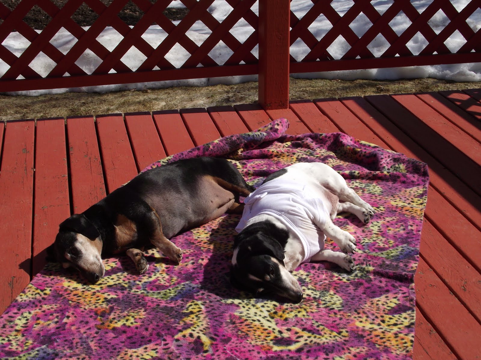 Ehe Notfallkoffer Diy Crafts For Gifts Diy Gift Box Diy Presents