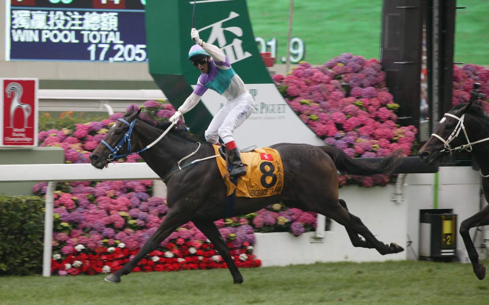 Vengeance Of Rain Vengeance Of Rain - Horse winning the QEII Cup