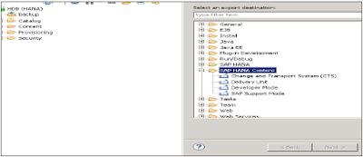 SAP HANA Export & Import