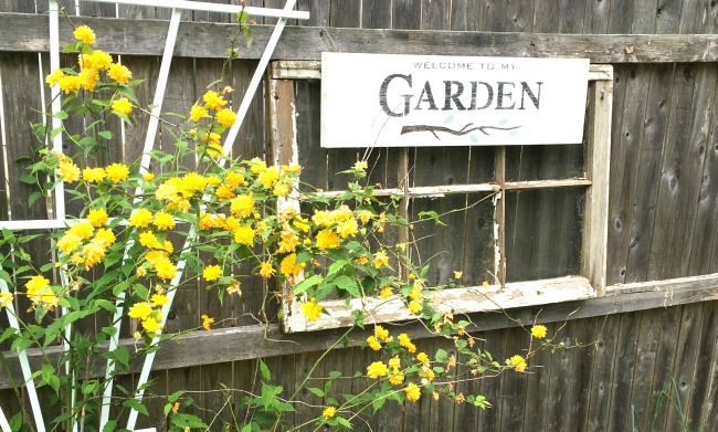 Ten Best Easy DIY Garden Ideas