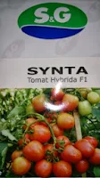 Benih,Synta, tomat, tahan virus,kuning, keriting, unggul, dataran rendah, tinggi, petani, SG Seed, Tomat Synta murah