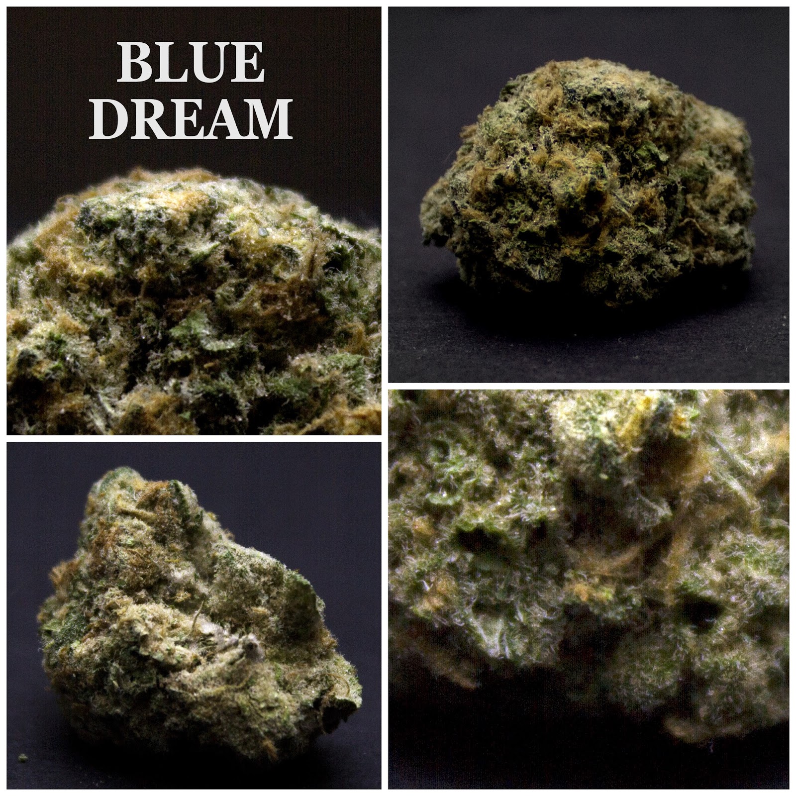 National Marijuana Review Council STRAIN REVIEW // BLUE DREAM
