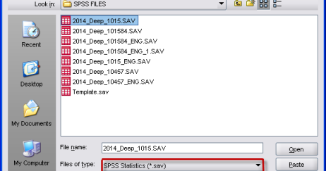 Read Data From An External File Into Spss