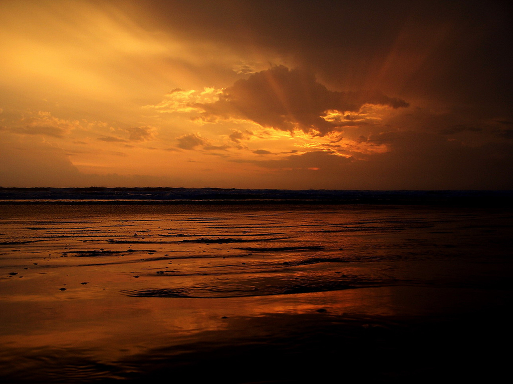 Beach Wallpaper # 2