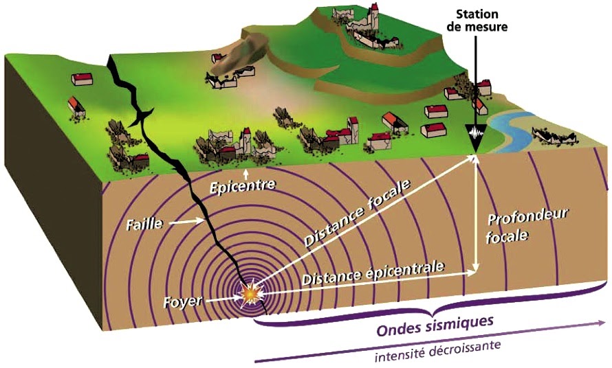 travail du cycle 3 sur les