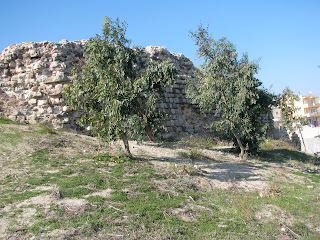 Kefalos Castle