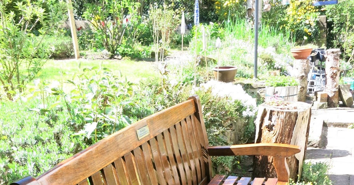 Fanø 2016: Bernsteinlack