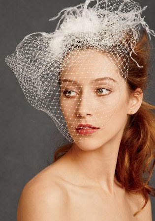Hairstyles Birdcage Veil Short Hairstyles