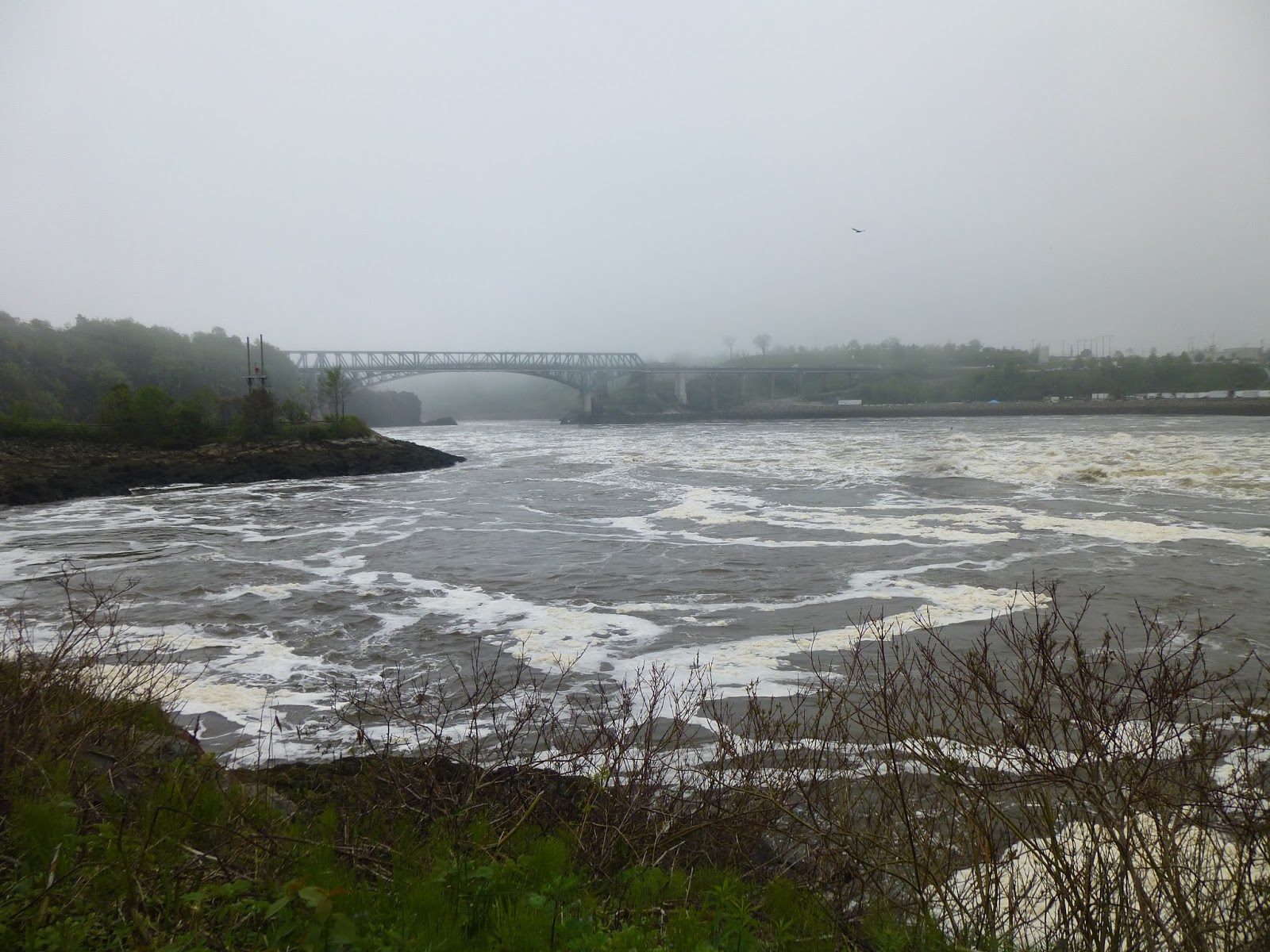 Photoops Official Tourism Attraction Reversing Rapids St. John, NB