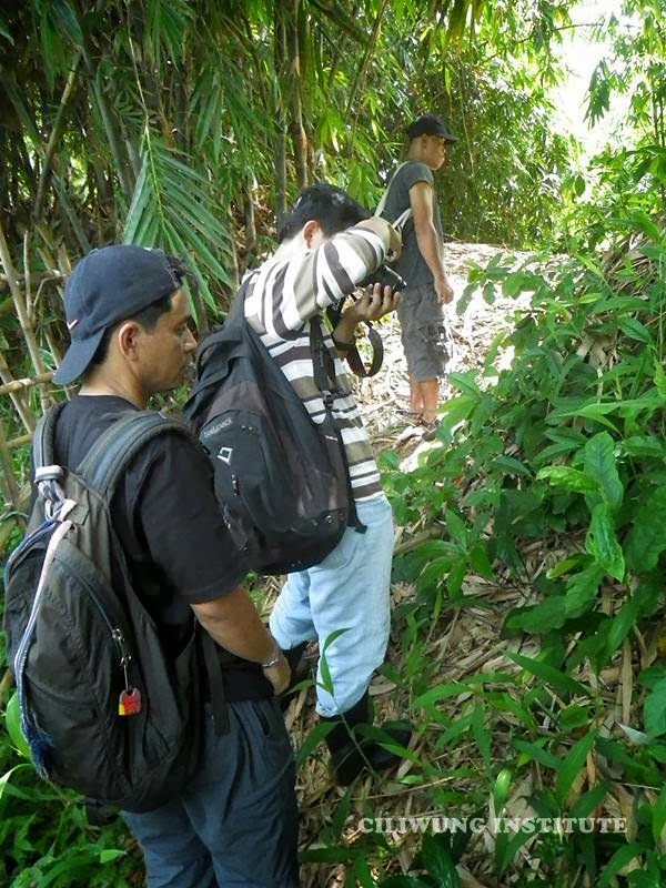 Kedung Umpal; Ekosistem Riparian Ciliwung dengan Aneka Spesies Tumbuhan