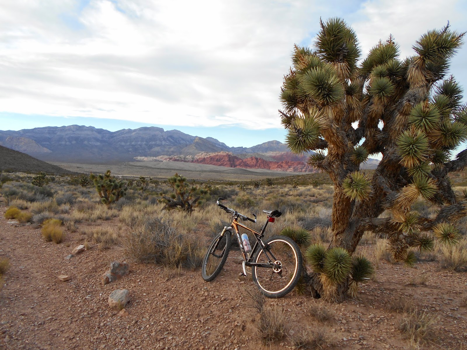 Bicycle Stories Red Rock By Mt Bike